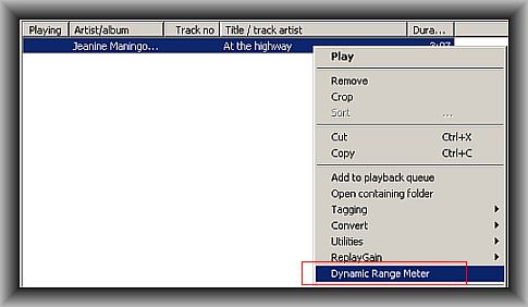 Dynamic range meter