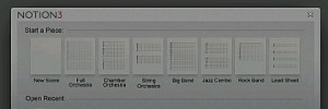 Options in Notion