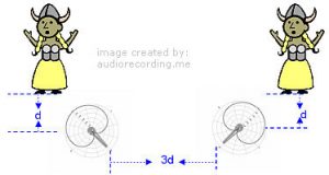 Directional microphones to reduce microphone interference